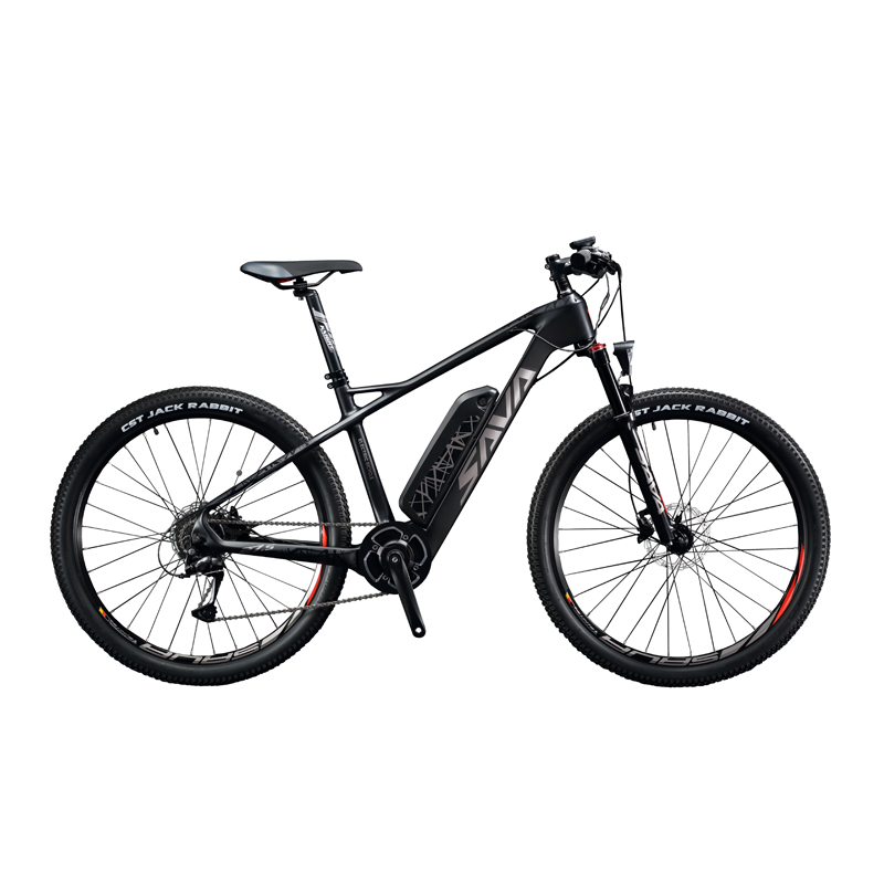 E - MTB